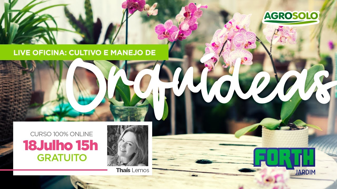 Live Oficina (GRATUITA): Cultivo e Manejo de Orquídeas com Thais Lemos