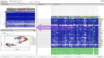 Next-Generation Clustered Heat Maps for Analyzing Single Cell Data