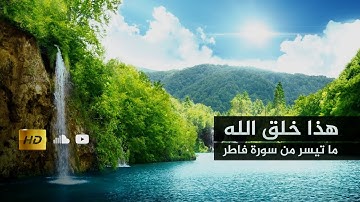 هذا خلق الله ... ما تيسر من سورة فاطر