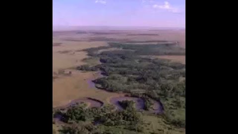 اجمل جواب مقام الحجاز القارئ شهاب احمد