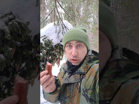 Выживание в лесу #скетчи #юмор #приколы #лес #походы #еда #лайфхаки #топ #тикток #shorts #выживалово