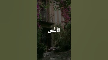 #المنشاوي #قرآن  #قرآن_كريم  #تلاوات  #ريلز #اكسبلورر #فولو  #اكسبلور  #reels