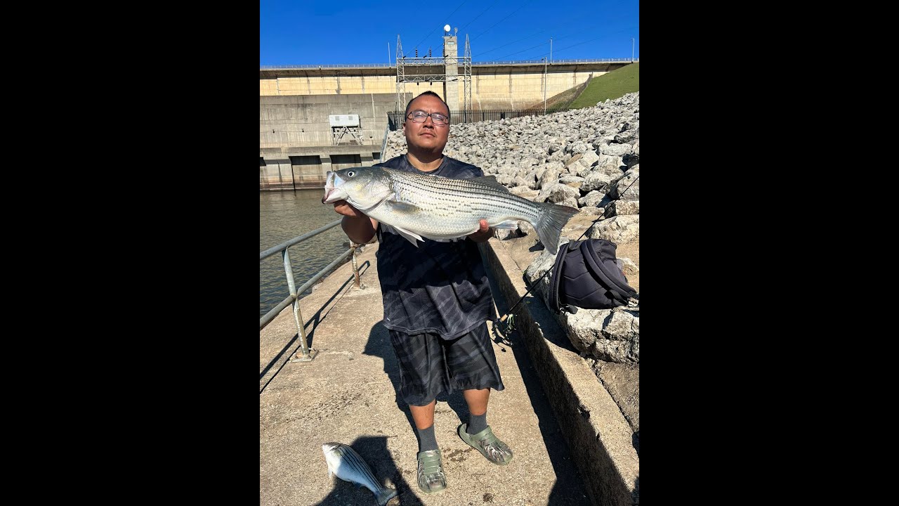 Stripped Bass Fishing