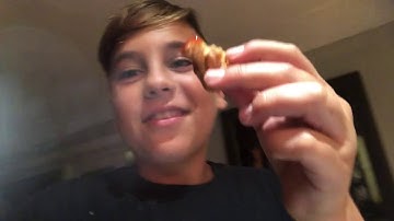 (Catch Clean Cook) Sand Fleas!