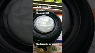shampoo test boat mini test350
