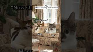 When I show my Mom a meme🫡 #relatable #catmemes #cat #cats #catmeme #relationships #funny #funnycat