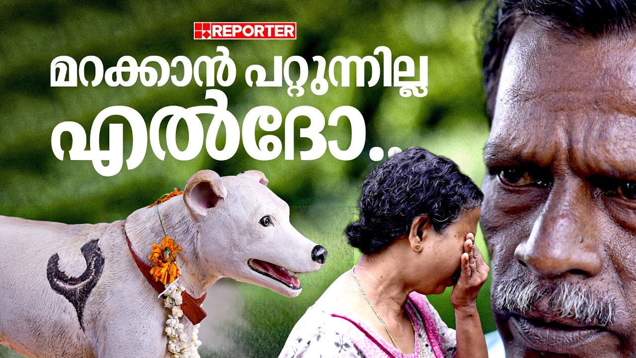 നായയെന്ന് വിളിച്ചിട്ടില്ല, ഒരു നാട് തേങ്ങുന്നു I Eldho | Street Dog | Ernakulam | Kochi | Stray Dog