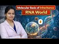 RNA World 