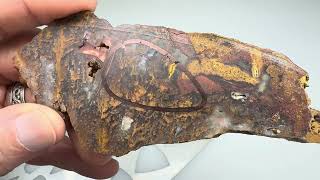 Slab to Cab - Colorful West Texas Mossy Agate