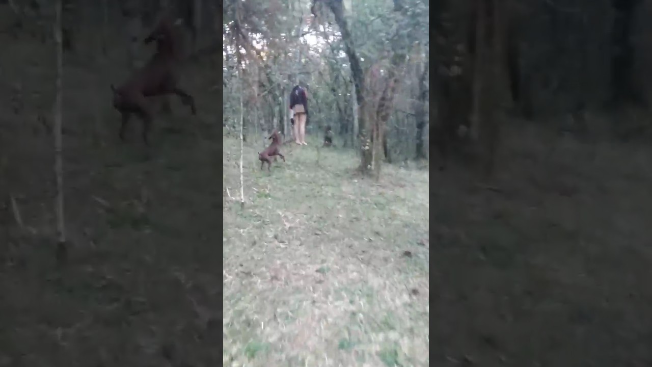 Death body Fasi..Fack