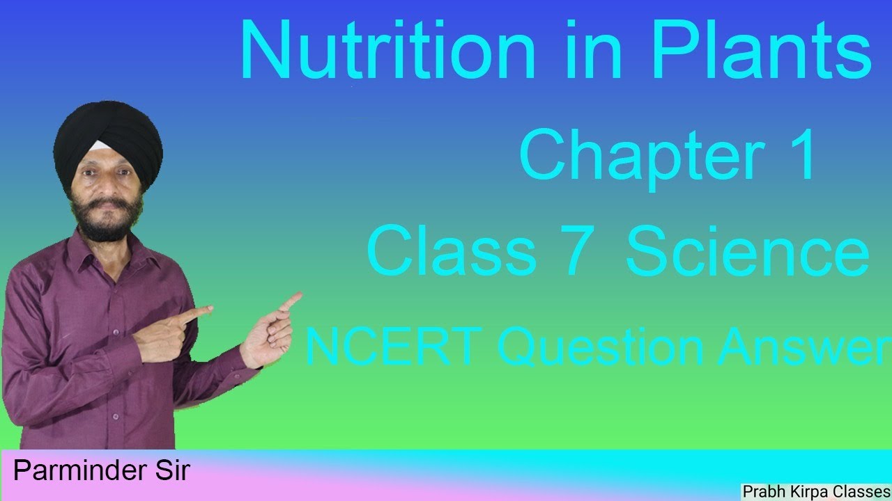 Nutrition in Plants Chapter-1 Class -7 Science NCERT Question Answers ...