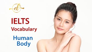Learning English - IELTS Vocabulary Words for the Parts of the Human Body