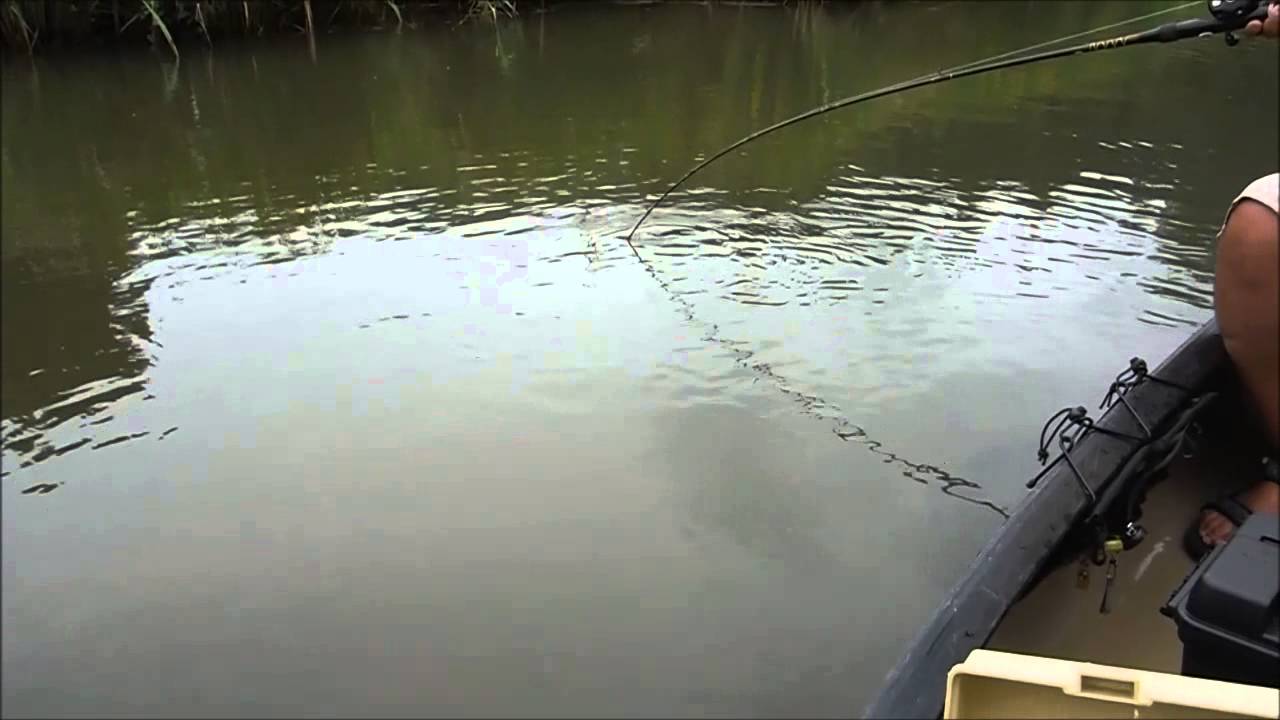 Sliding action　River games