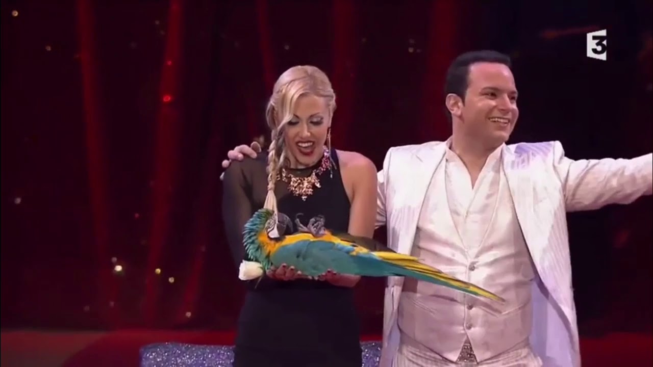 Alessio Fochesato - pappagalli - 39°festival di Montecarlo