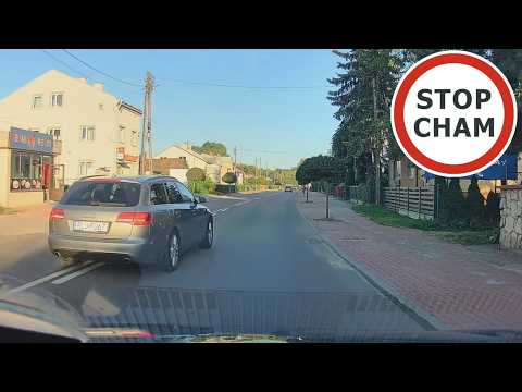 Jednak mu się nie śpieszy i z chęcią niemal zatrzyma się na drodze #2338 Wasze Filmy