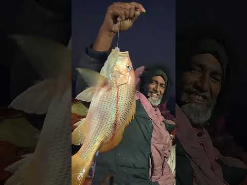 fishing video 👉🔔👈