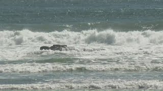 Warmer temperatures returning after bitter cold winter