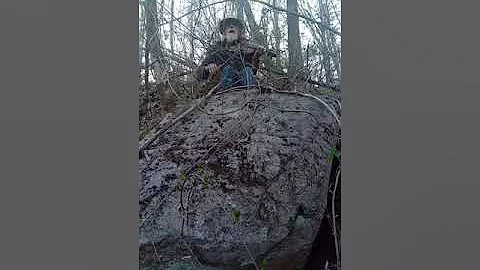 Michael Merrill: Great High Mountain