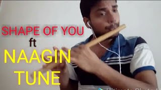 नागिन धुन feat SHAPE OF YOU | Flute chords