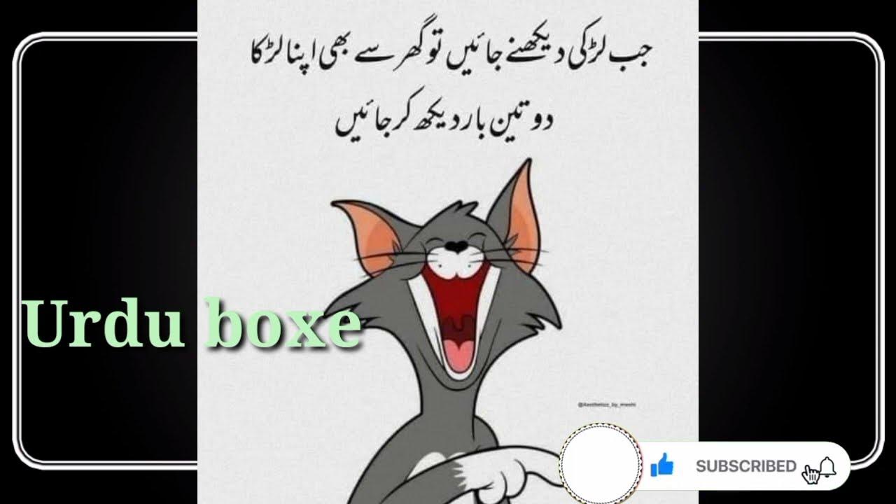 Tom And Jerry New Funny Urdu Memes 😸😸😸 Youtube 