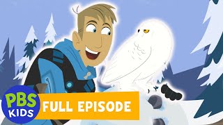 Wild Kratts FULL EPISODE | Snowy Owl Invasion | PBS KIDS