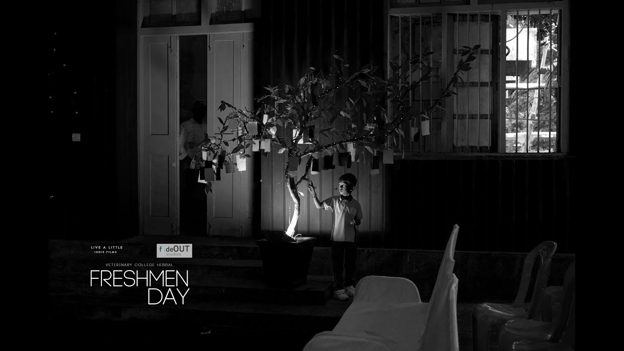 Freshmen Day , Veterinary College Hebbal Bengaluru YouTube