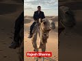 registan