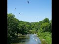Will MN ever get a new state park?