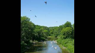 Will MN ever get a new state park?