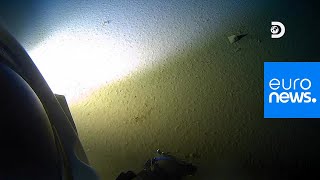 Deepest-ever dive finds plastic at bottom of Mariana Trench