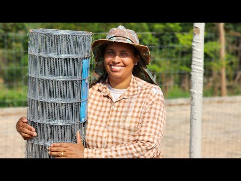 Cerca Ecológica: Postes de Concreto, Eucalipto e Alambrado