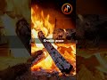 Relaxing Classical Music by the Fireplace 🔥 | Study, Focus, Sleep Ambience | #ambientmusic