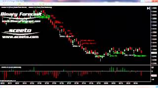 NinjaTrader Daily Report 30th August 2012 Forex Euro USD 6E Futures