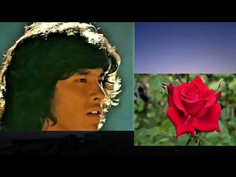 題名のない愛の唄　～西 城 秀 樹～　Hideki Saijo
