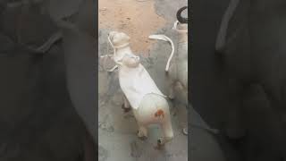 Mera Piy