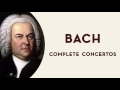 Bach - Suite in B Minor, BWV 1067: I. Ouverture