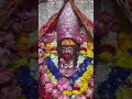 #tarapith #love #maashakti#bhakti#song #shyam #devi #maa #kali  #viral #music #video #life #mata