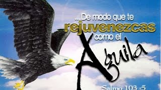 pack de imagenes cristianas en HD screenshot 5