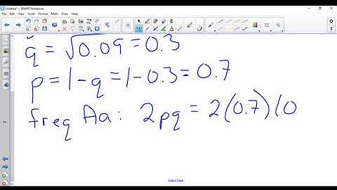 Population Genetics Worksheet #1