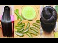 Aloe Vera For Hair Growth | Get Long Hair In 1 Month | Aloe Vera For Long, Shilky - Hair Solution