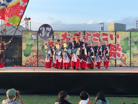 【4K】よさこい魂 和｜ 最高和舞（大井よさこいひょうたん祭2023）