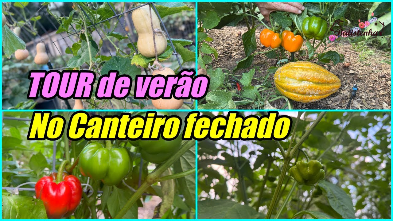 TOUR de verão no Canteiro fechado / Summer Tour at the Closed Garden