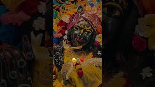 Hare Krishna laddugopalkrishnaradheradhe youtubeshorts