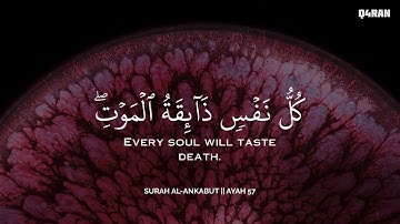 أرح سمعك.. تلاوة هادئة تريح القلب والعقل🩷😴 | ساعة كاملة🕛🎧 القارئ محمد ديبيروف | Muhammad Dibirov