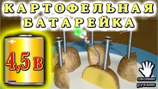 КАРТОФЕЛЬНАЯ БАТАРЕЙКА       4,5 Вольта из Одной Картошки