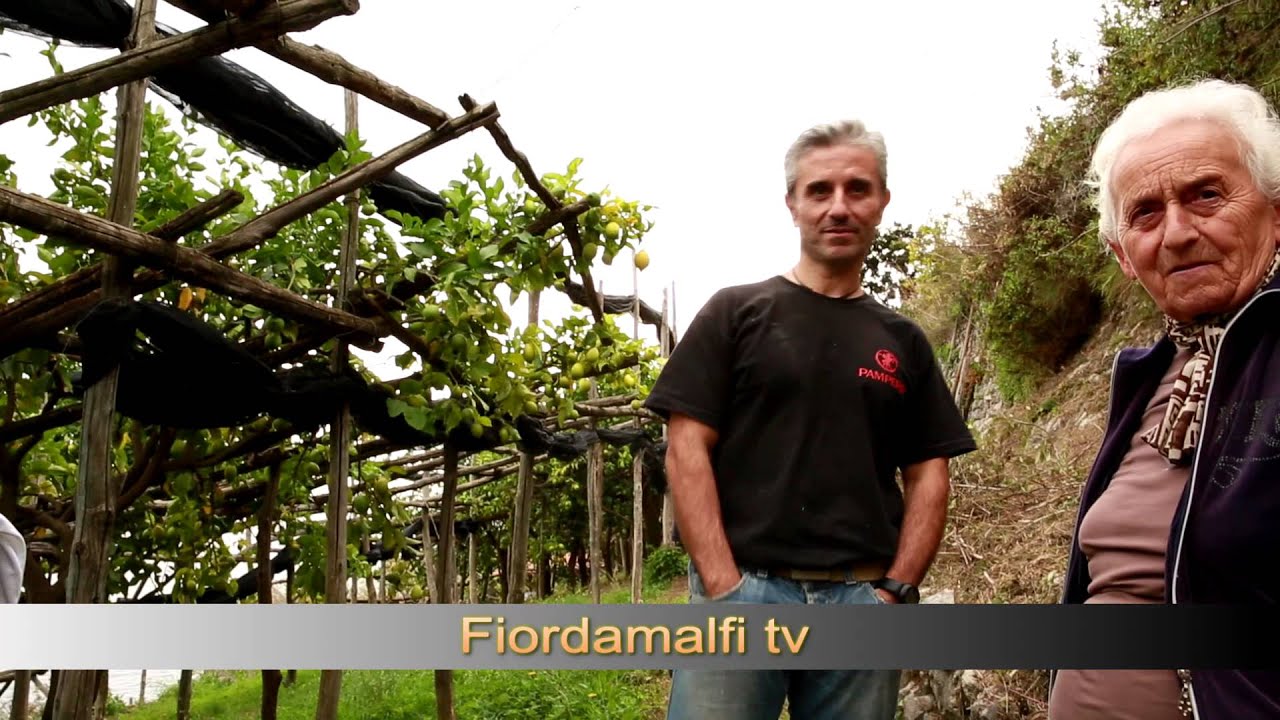 Angelo e Peppino: 'Il nostro lavoro? Meglio gli sfusati'