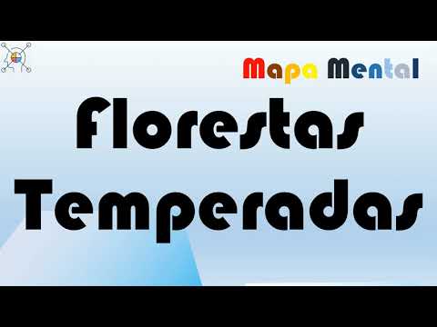 Vídeo: Em que países estão as florestas temperadas?