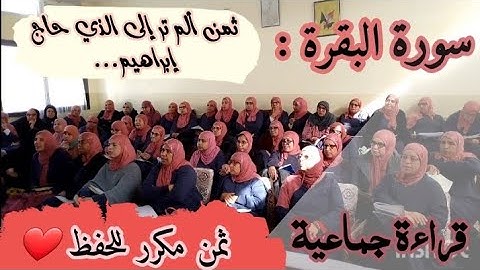 ثمن مكرر للحفظ ❤️ 《 ألم تر إلى الذي حاج إبراهيم... 》سورة البقرة الحزب الخامس