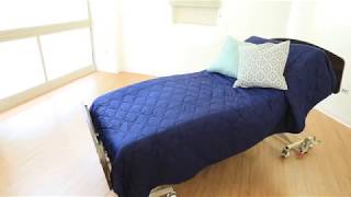 Alterra Maxx Long Term Care Bed