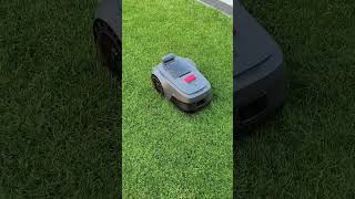 mova viax 500
